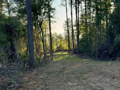 Nestled in the heart of South Mississippi, this 296-acre - photo 22