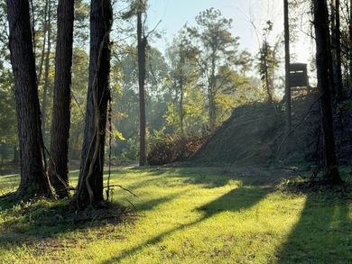 Nestled in the heart of South Mississippi, this 296-acre - photo 23