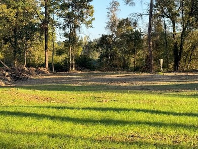 Nestled in the heart of South Mississippi, this 296-acre - photo 24