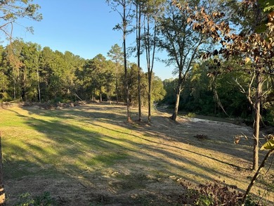 Nestled in the heart of South Mississippi, this 296-acre - photo 25