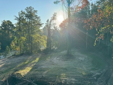 Nestled in the heart of South Mississippi, this 296-acre - photo 26