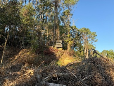 Nestled in the heart of South Mississippi, this 296-acre - photo 27