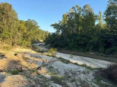 Nestled in the heart of South Mississippi, this 296-acre - photo 28