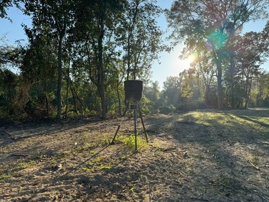 Nestled in the heart of South Mississippi, this 296-acre - photo 29