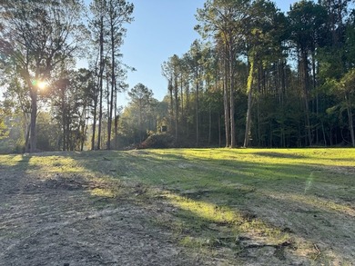 Nestled in the heart of South Mississippi, this 296-acre - photo 30