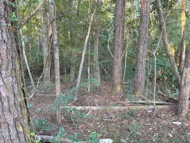 Nestled in the heart of South Mississippi, this 296-acre - photo 31