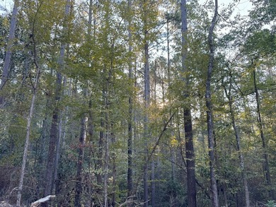Nestled in the heart of South Mississippi, this 296-acre - photo 32