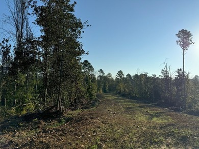 Nestled in the heart of South Mississippi, this 296-acre - photo 33