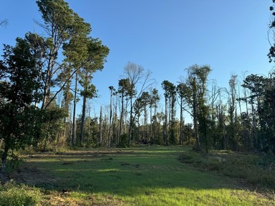 Nestled in the heart of South Mississippi, this 296-acre - photo 34