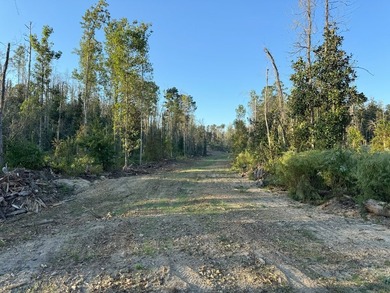 Nestled in the heart of South Mississippi, this 296-acre - photo 35