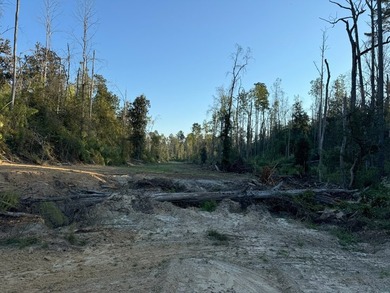 Nestled in the heart of South Mississippi, this 296-acre - photo 36