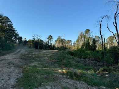 Nestled in the heart of South Mississippi, this 296-acre - photo 37
