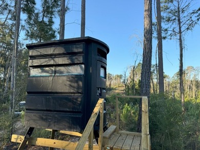 Nestled in the heart of South Mississippi, this 296-acre - photo 38