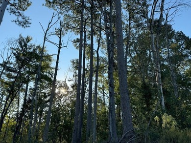 Nestled in the heart of South Mississippi, this 296-acre - photo 39