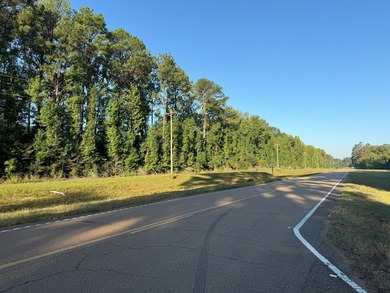 Nestled in the heart of South Mississippi, this 296-acre - photo 40