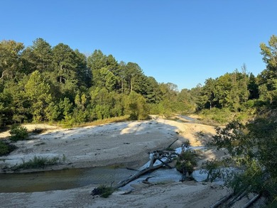 Nestled in the heart of South Mississippi, this 296-acre - photo 41