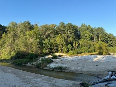 Nestled in the heart of South Mississippi, this 296-acre - photo 42