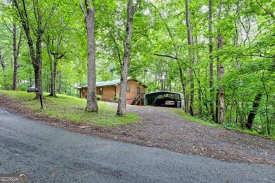 Lake Home For Sale in Young Harris, Georgia