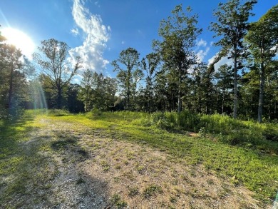 Kentucky Lake Lot For Sale in Buchanan Tennessee