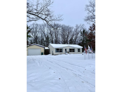 Lake Home For Sale in Topinabee, Michigan