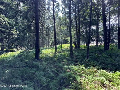 Pocono Lake Acreage For Sale in Pocono Lake Pennsylvania