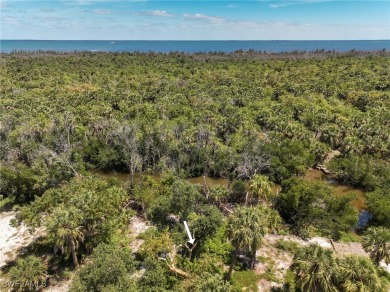 Very rare opportunity to purchase a vacant land parcels on the - photo 3