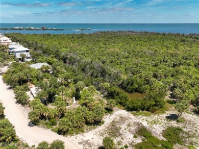 Very rare opportunity to purchase a vacant land parcels on the - photo 5