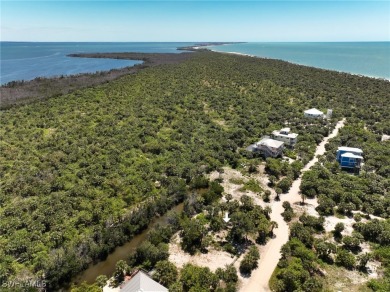 Very rare opportunity to purchase a vacant land parcels on the - photo 8