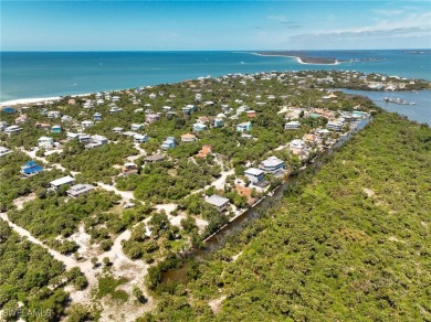 Very rare opportunity to purchase a vacant land parcels on the - photo 10