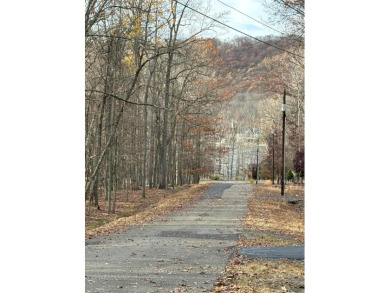 (private lake, pond, coastal) Lot For Sale in Hazleton Pennsylvania