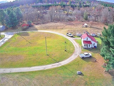 (private lake, pond, creek) Home For Sale in Evart Michigan