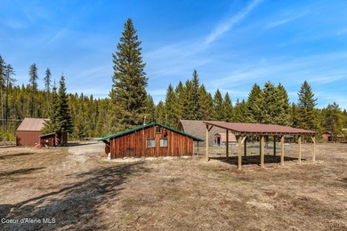 Home & Cottage & Shop & RV Cover on 10 acres. Northwest Corner - photo 47