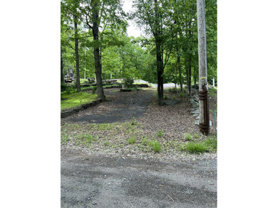 Winona Lakes Forest Lake Lot For Sale in East Stroudsburg Pennsylvania