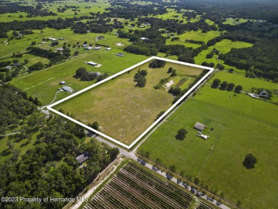 (private lake, pond, creek) Acreage For Sale in Brooksville Florida