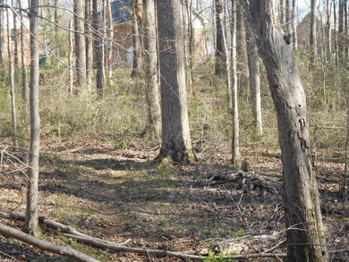 Build Your Dream Home in Hampton Place! Nestled in the - photo 2