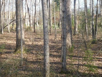 Build Your Dream Home in Hampton Place! Nestled in the - photo 3