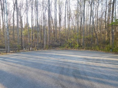 Build Your Dream Home in Hampton Place! Nestled in the - photo 4