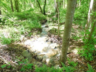 Build Your Dream Home in Hampton Place! Nestled in the - photo 5