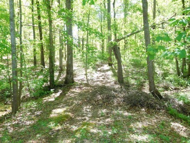 Build Your Dream Home in Hampton Place! Nestled in the - photo 6