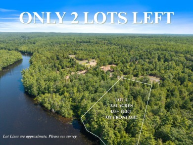 Estes Lake Acreage For Sale in Alfred Maine