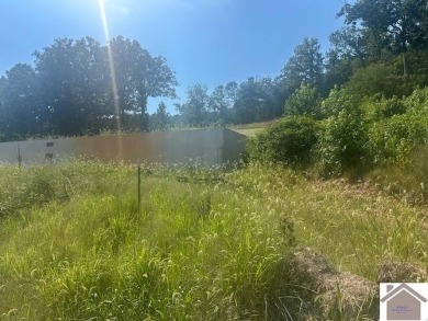 Lake Lot For Sale in Kuttawa, Kentucky