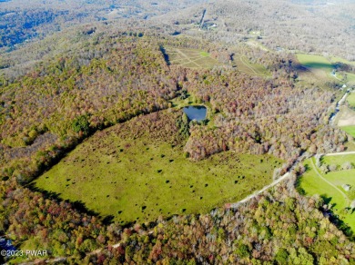 (private lake, pond, creek) Acreage For Sale in Equinunk Pennsylvania