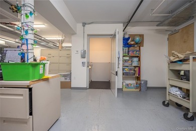 PRIME RETAIL SPACE FOR SALE IN DOWNTOWN PEARL RIVERPLETELY - photo 36