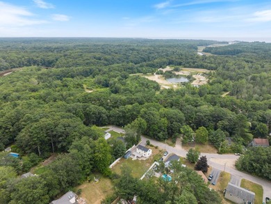 Thoughtful renovations inside and out give this Kennebunk Cape a - photo 49