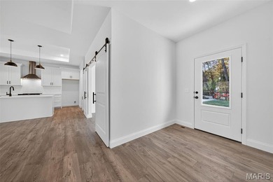 New construction home with over 1,200 sq ft of finished basement - photo 10
