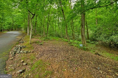 Lake Acreage For Sale in Blue Ridge, Georgia