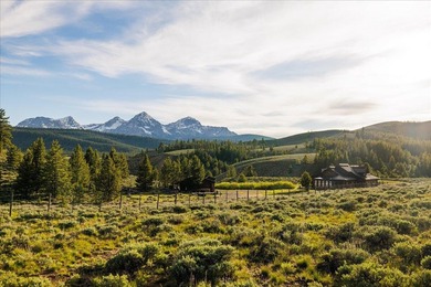 (private lake, pond, creek) Home For Sale in Stanley Idaho