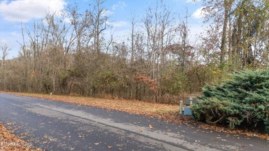 Build your dream lakefront home on this beautiful .89 acre lot - photo 11