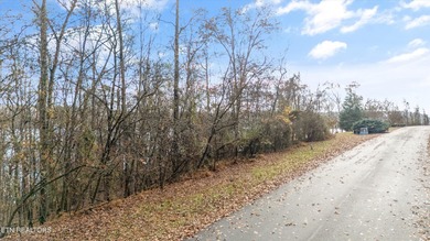 Build your dream lakefront home on this beautiful .89 acre lot - photo 12
