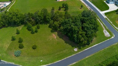 Build Your Dream Home with Lake & Mountain Views! Don't miss - photo 15